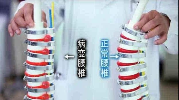 薇莎床墊|深圳市卡爾森家具有限公司 薇莎床墊|深圳市卡爾森家具有限公司